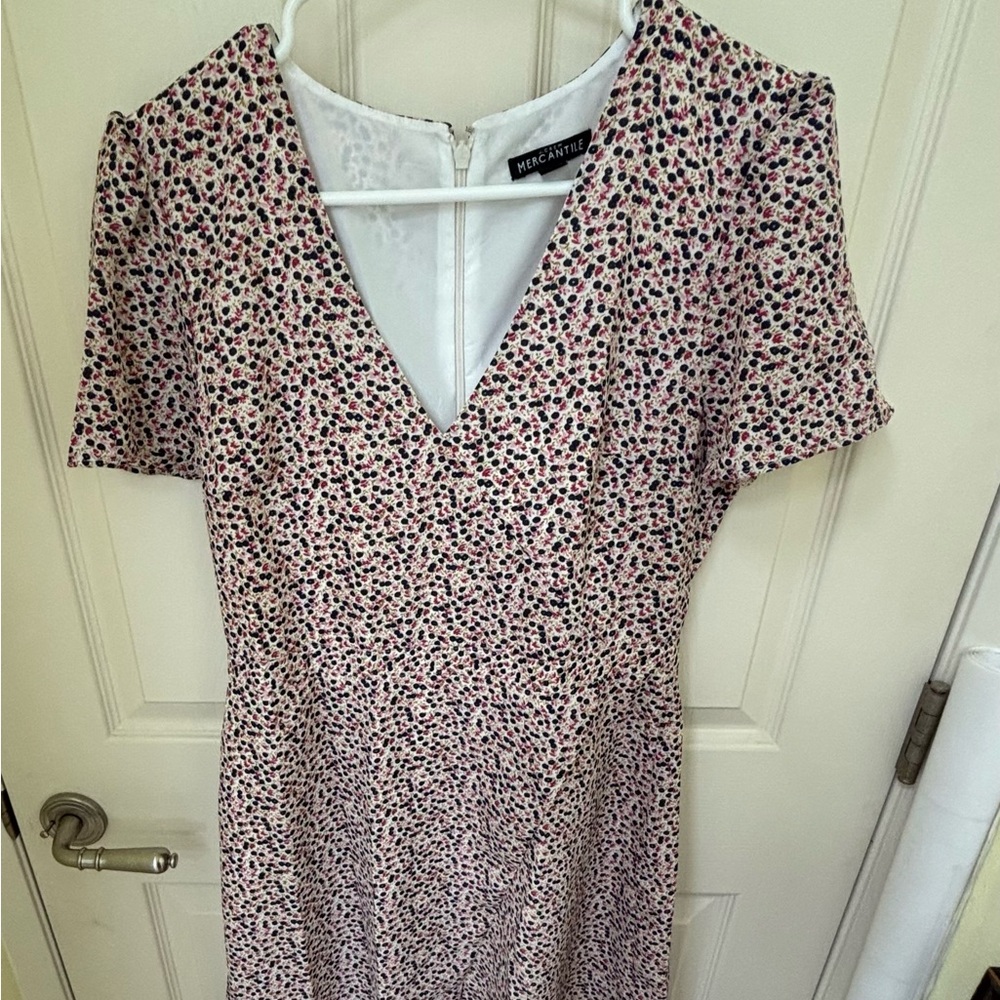 J. Crew Mercantile Blue and Purple Floral Dress